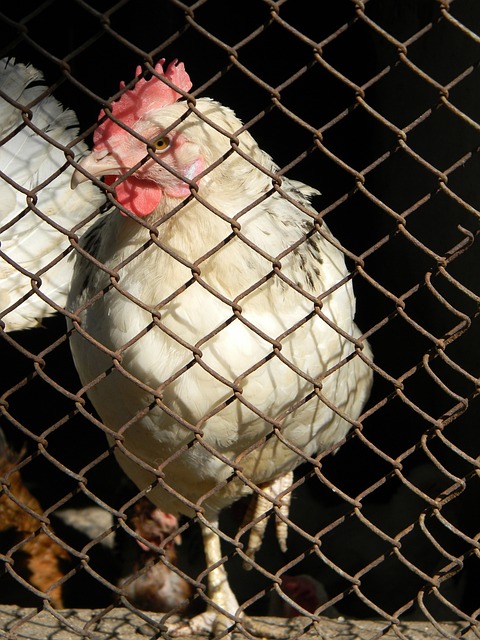 而中国体育 而中国体育