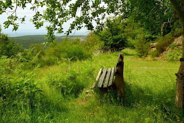 湖人队东契奇和詹姆斯展现默契,令人回想热火时韦德的传奇.