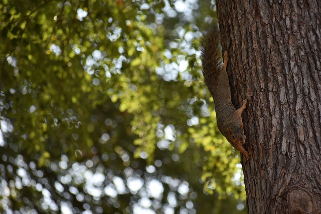 三节打卡，战神卡高效填满数据栏，哈登17+6！快船32分大胜篮网.
